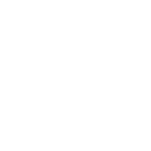 Blaser Logo